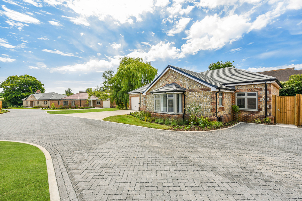 Plot 3 - The Oak